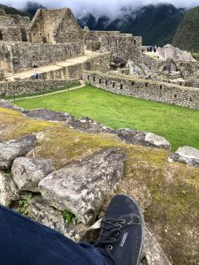 Mit leguanos bei den Ruinen von Machu Picchu